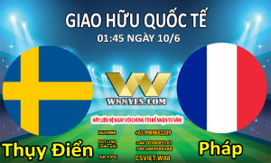 Read more about the article Thụy Điển vs Pháp.