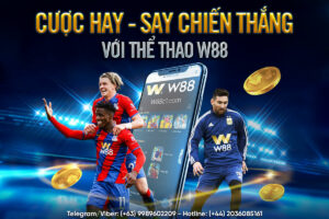 Read more about the article CƯỢC HAY – SAY CHIẾN THẮNG VỚI THỂ THAO W88