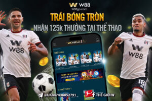 Read more about the article TRÁI BÓNG TRÒN – NHẬN TRỌN 125K TIỀN THƯỞNG TẠI THỂ THAO