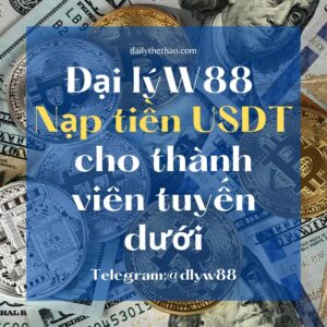 Read more about the article ĐẠI LÝ W88 NẠP TIỀN USDT CHO THÀNH VIÊN TUYẾN DƯỚI